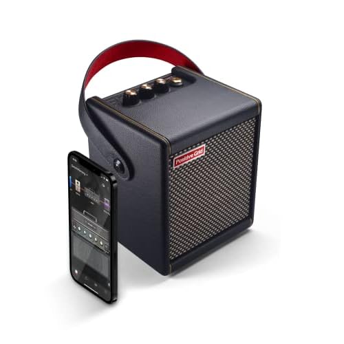 Positive Grid │ Amplificador de Guitarra Spark Mini │ Mini Amplificador portátil de 10W para Guitarra eléctrica, bajo y Guitarra acústica (Negro)