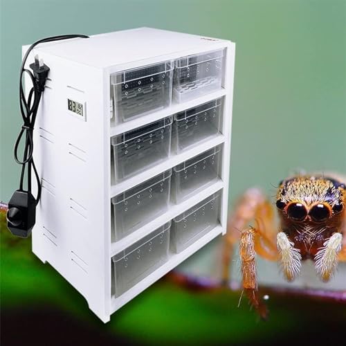 Gabinete de alimentación para reptiles con almohadilla térmica y termostato - Hábitat transparente para insectos pequeños, arañas, tortugas y lagartos, tanque de cría y estación de alimentación