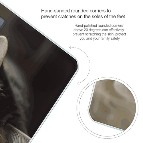 Báscula digital Sleeping Cat para baño con pantalla grande miniatura 4
