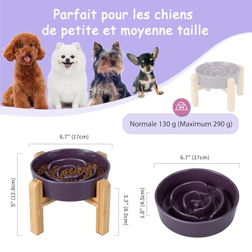 Gamelle anti-glouton design pour le repas des chiens en intérieur