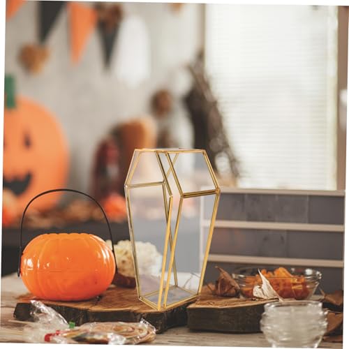 Vitrine en verre pour bijoux protégez vos objets de collection dans ce mini cercueil