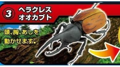 Amazon 昆虫の森 クワガタ界の怪物登場 3 ヘラクレスオオカブト 通販 Amazon 昆虫の森 クワガタ界の怪物登場 3 ヘラクレスオオカブト 通販