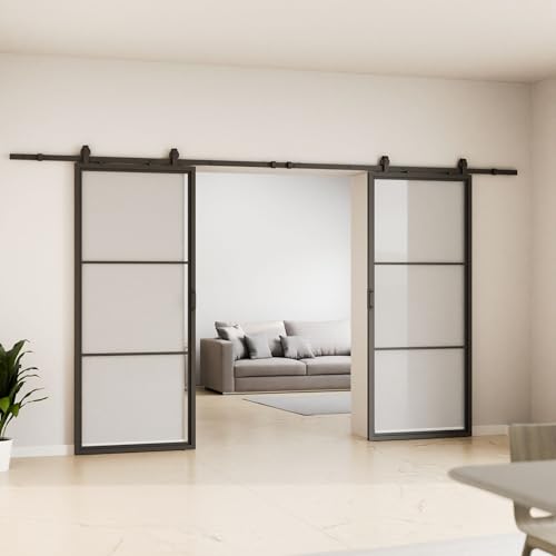 Schulte porte coulissante en verre, 205x220cm, double porte coulissante intérieure, porte vitrée, porte verrière, décor Loftstyle, noir