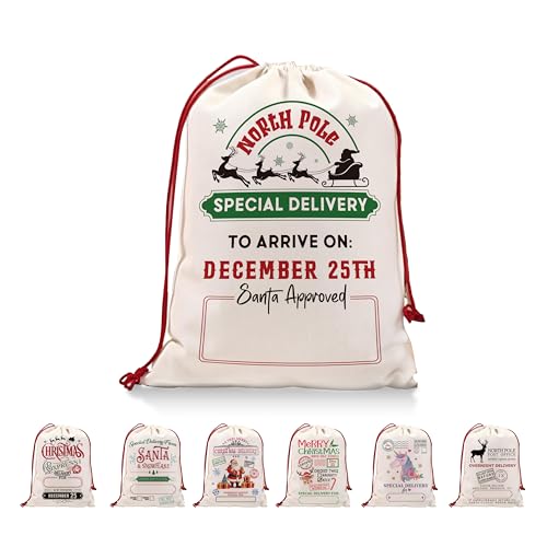 DOI-LANEE 27.5C` x 19.6C` p[\iCYꂽNX}XT^TbNobOANX}XLoXВMtgobOA傫ȉzT^zB|[`