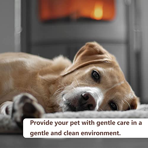 Bibykivn Hundedecke,Faltbare Haustierdecke,wasserdichte Hundematte für draußen,100 x 70 cm,mit Tragetasche für Hunde,Reisedecke für Hunde Katzen,Haustiere Picknickdecke(Schwarz - Flaumig)