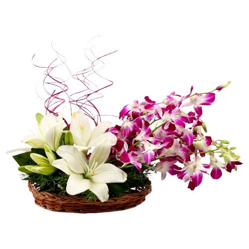 IFG's Beautiful Basket Arrangement of White & PurpleLilies, Orchids, 8 pcs Fresh Flowers - Same Day Delivery-image-7