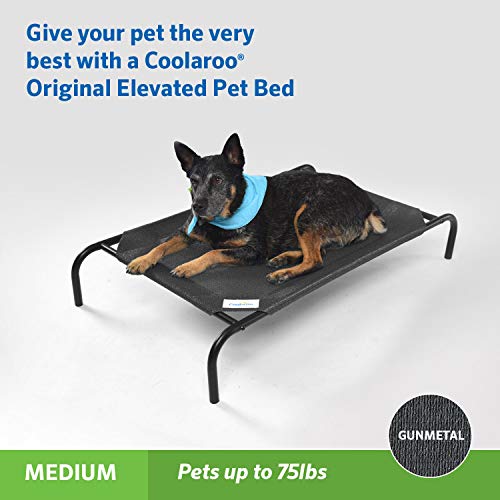 Image of Coolaroo Original Elevated Dog Bed - Breathable Off-The-Ground Pet Bed with Cooling Fabric, Joint Relief & Moisture-Resistant Fabric, 100% Recyclable, Easy Clean, Gunmetal, Medium