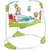 Fisher-Price Baby Bouncer Fitness Fun Folding Jumperoo Activity Center with Lights Music and Gym Themed Toys, Folds For…