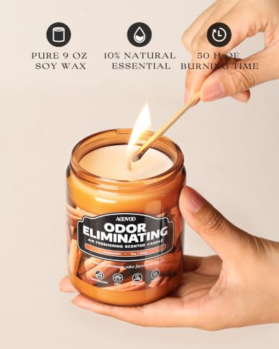 Image of AOOVOO Cinnamon Odor Eliminating Highly Fragranced Candle - Eliminates 95% of Pet, Smoke, Food, and Other Smells Quickly, Non Toxic Air Freshing Soy Candle, 9 oz Up to 50 Hours Burn time