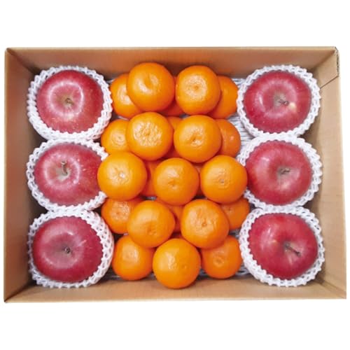 y2025 Εz a̎RY ݂񁕐XY Tӂ񂲃Zbg (n̂)