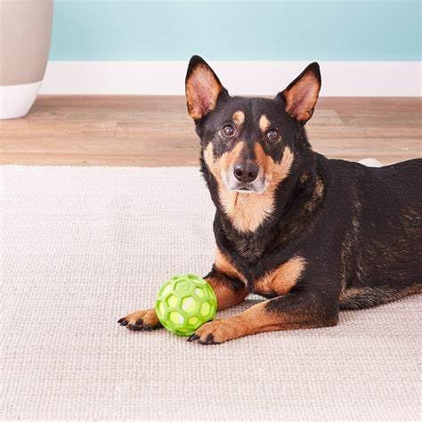 JW Pet HOLEE Roller Ball Hund Kauen springendes Spielzeug KLEIN 8,9cm-3 Stücke