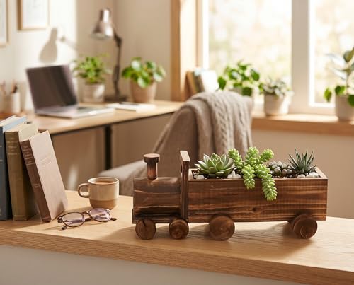 Plantes succulentes en pot de train Akozon solution déco petits espaces - 3