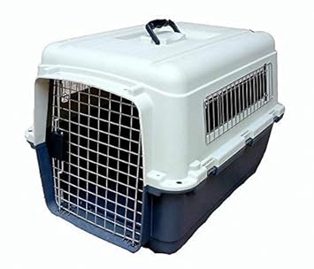 Woofy IATA Approved Plastic Flight Cage for Pets, Dog Flight Cage - Blue & White L-28, W-20, H-22 Inch