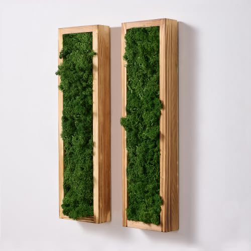 Mokof 2 Pack Moss Wall Art | 17.3-inch Vertical Wood Frame | Forest Green