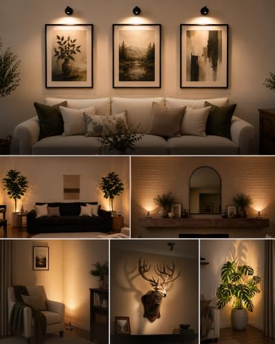 EZVALO Indoor Spotlights, Picture Lights for Wall, Plant Uplights
