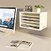 LAPTAIN Desktop File Sorter with 4 Adjustable Shelves for Home and Office, Paper Letter Tray Organizer Wall Mount, White