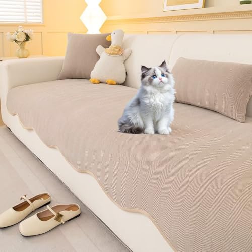 NEKOHASHI \t@Jo[ \t@[pbh 3l| It IȂ \t@[Jo[ 邾 zc \t@[V[g Zp[g^ \t@[}bg }`Jo[ \t@[ k  zc L΍ hoJo[ Ȃ xbhJo[ 