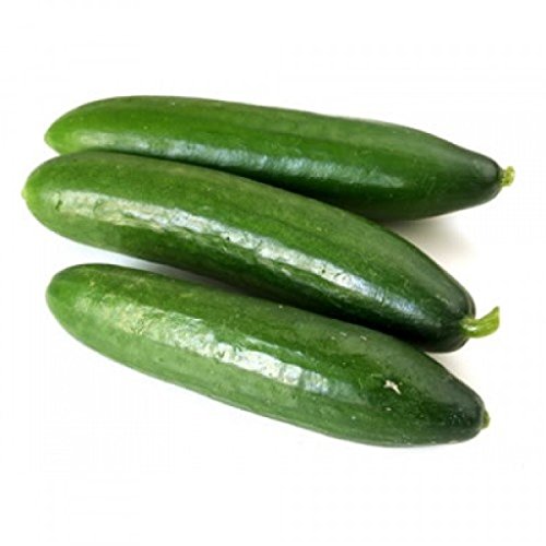 Cemeha Seeds Cucumber Emilia F1 Long Giant Vine Self-Pollinated Vegetable Hybrid Non-Gmo For Planting #TOP4