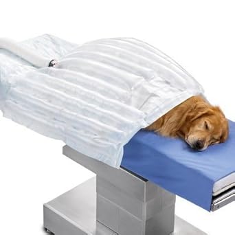 3M 3M 30077 Bair Hugger Animal Health Large Blanket, 84
