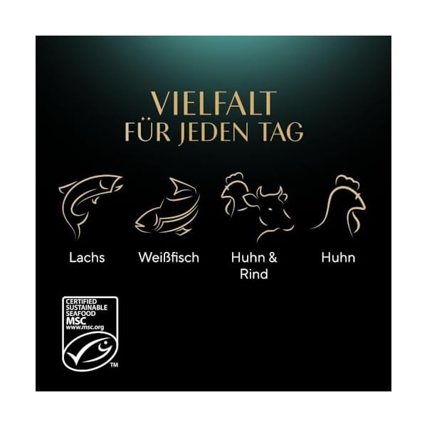 Sheba Katzennassfutter Selection in Sauce, 48 Portionsbeutel, 12x85g (4er Pack) – Katzenfutter nass, Herzhafte Komposition in Sauce für ausgewachsene Katzen – Bild 12