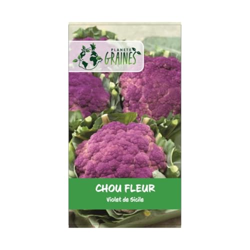 50 graines de chou fleur violet de sicile - RARE - goût sucré et savoureux