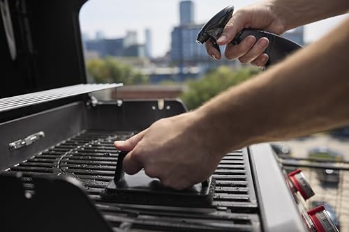 Weber Spirit E-210 Gasgrill, 2 Brenner, 51 x 46 cm Grillfläche, Warmhalterost, Deckelthermometer, 2 Räder - Schwarz/Silber (1500833)