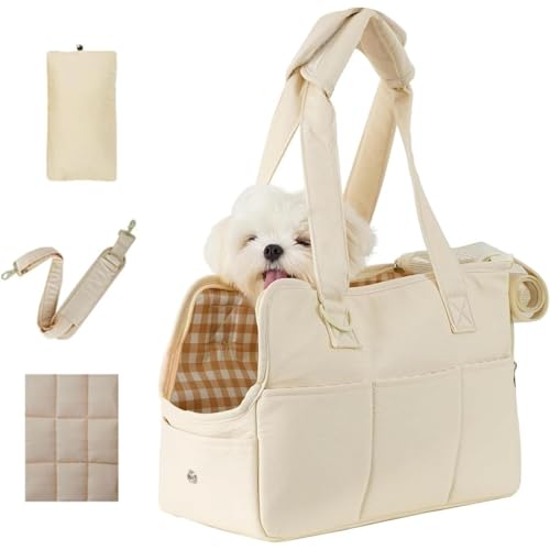 JuneSun͌yʂŒʋCɗDA܂肽ݎŎ^тɕ֗ȃybgLAłBoAhCuAsAa@ւ̒ʉ@ȂǂɍœKłBL̔яoh􂦂}bgAO\ȃV_[XgbvALbgxbhtĂ܂B (S)