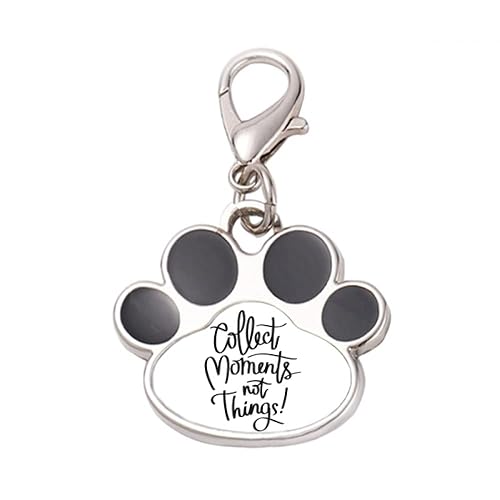 DIYthinker?Collect Moments Not Things Quote Pet Tag Keychain Dog Cat ID