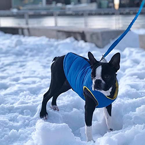 Image of Gooby Padded Vest Dog Jacket - Solid Blue, Medium - Warm Zip Up Vest Fleece Jacket with Dual D Ring Leash Water Resistant for Small to Medium Dogs
