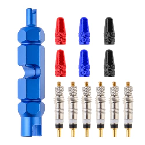 Image of Windance 1 Set 60ml Tubeless Sealant Syringe Kit for Motorcycles Scooters Bicycles with 1 Valve Core Removal Tool, 6pcs French Valve Cores, 6pcs Valve Caps, Tire Repair Tool Injector