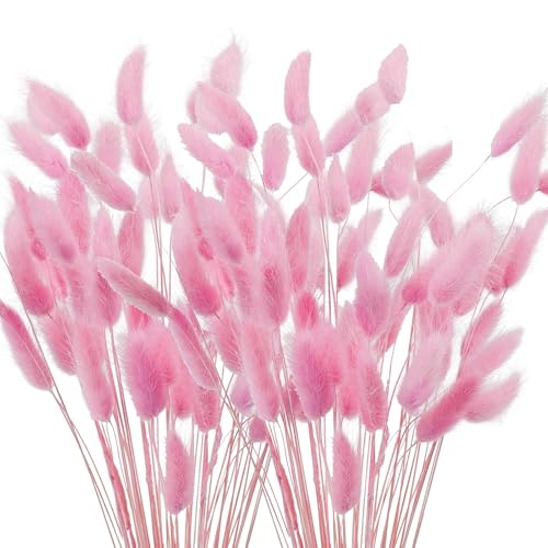 Lot de 120 petites fleurs séchées - 40 cm - Herbe de la pampa rose séchée - Pour arrangements floraux, mariage, maison, fête