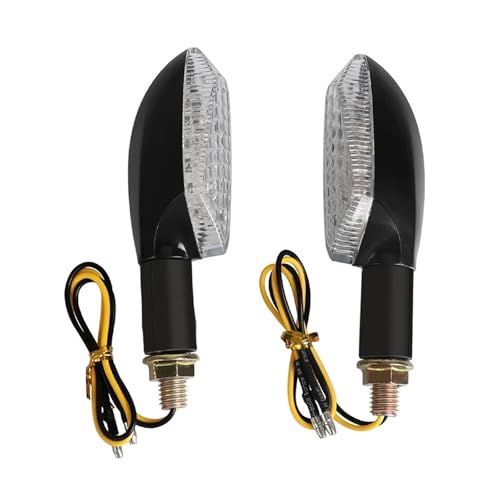 Luces intermitentes LED de 12V solucionan la baja visibilidad en moto FZS 5