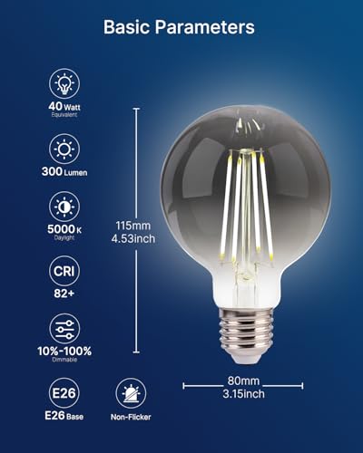 Image of FLSNT 6 Pack G25 LED Globe Edison Bulbs, 5000K Daylight Decorative Light Bulbs, CRI90+ Dimmable, 40W Equivalent, 300LM, E26 Base, Smoky Grey Glass, UL Listed