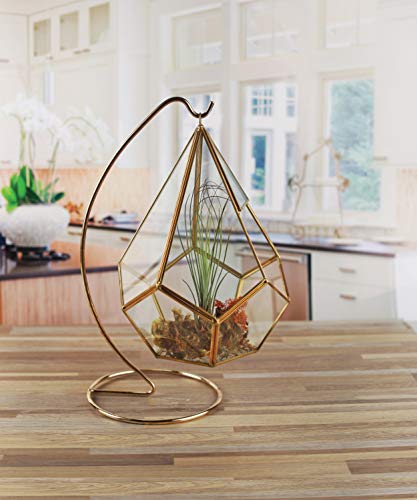 image for Circleware Terraria Glass Plant Terrarium, Gold Frame with Stand, Home
