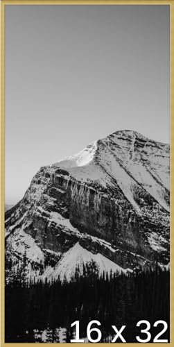 Frame It Easy 16 x 32 Gloss Gold Metal Frame (Ashford)