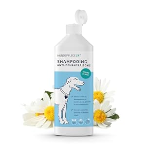 Shampooing Chien Antidémangeaison 500ml – Aide Contre Les démangeaisons, acariens, puces & infections fongiques – Shampooing Naturel pour Chien + Nettoyage et Soin antibactérien