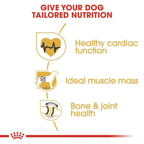 Image of Royal Canin Rottweiler Adult Dog Food, 12 Kg, Dry Food, Supports Healthy Cardiac Function, Bone & Joint Health, Promotes Ideal Muscle Mass