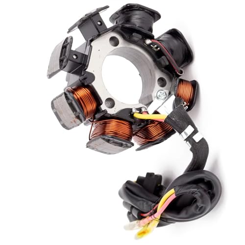 Allumage bobine stator magnéto XR250R pour stopper les pannes électriques de moto