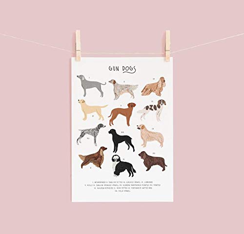 Inga Gun Dogs Poster Types Of Dogs Dog Lovers Gift Spaniel Poster Dog Breeds Poster Spaniel Gift Labrador Gift Dog Illustration Funny Gift Metal Signs 8x12 inch