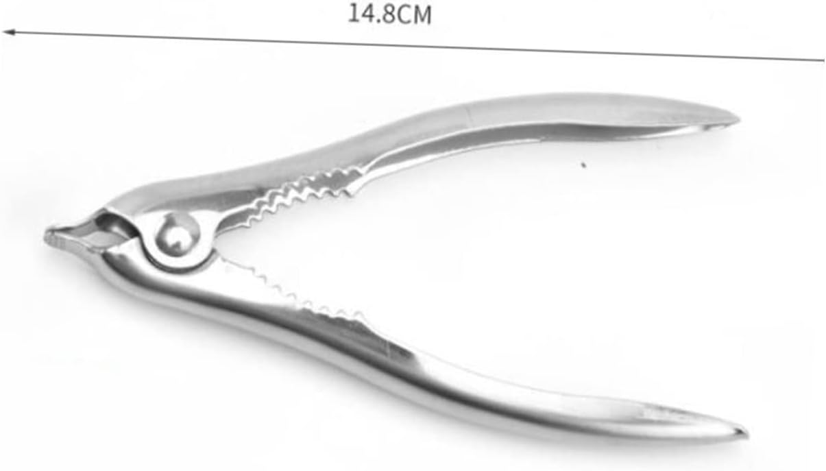 3pcs Seafood Picks Seafood Fork Clam Clamps Seafood Opener Mutitool Sea Shells for Crafts Prawn Crackers Cleaning Tool Seafood Tools Lobster Picks Brazil Nuts Clip Small