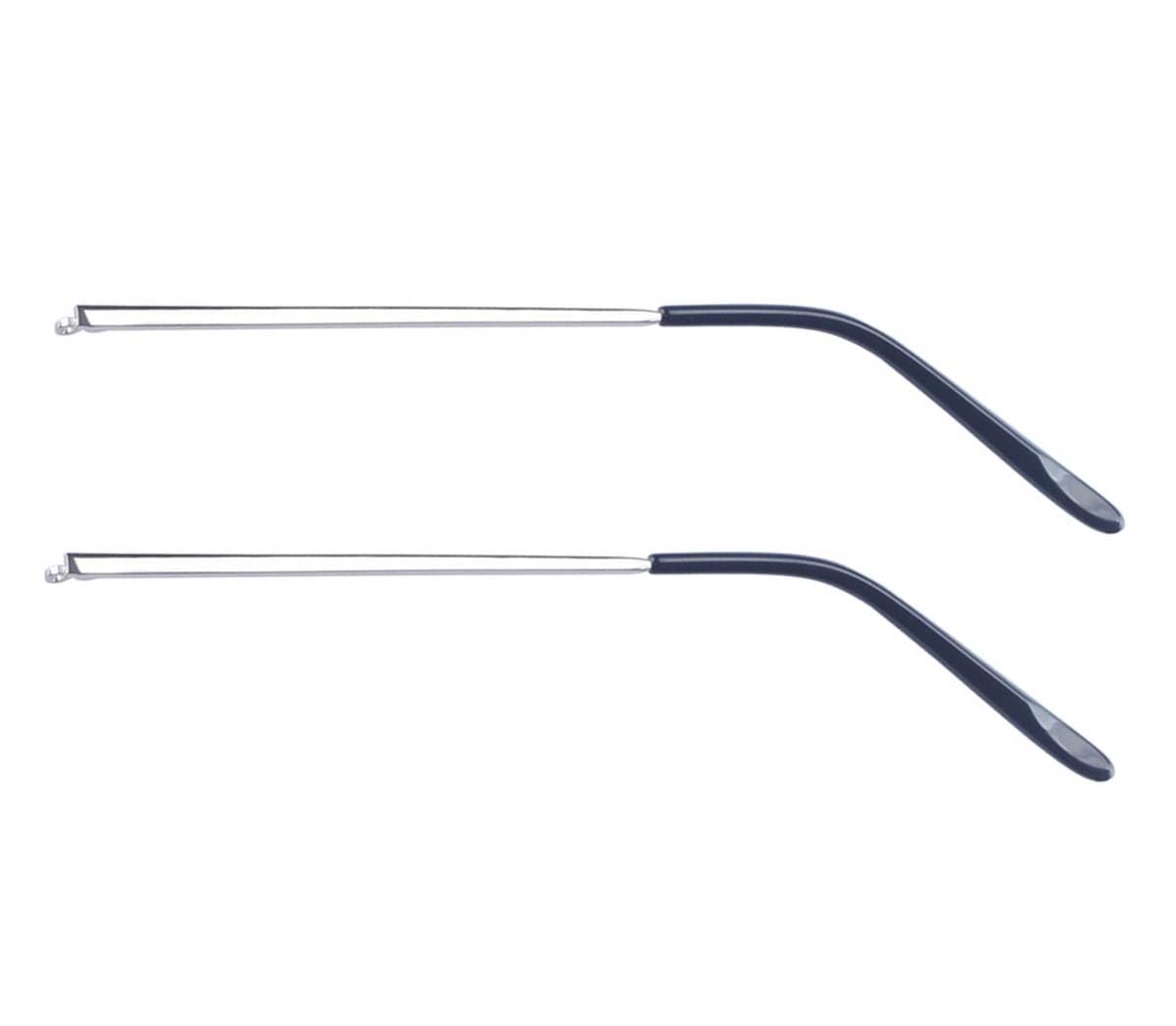 ZEALMAX1 Pair Metal Frame Arms Glasses Replacement Temple Eyewear Frame Arms for Adult Glasses, Silver