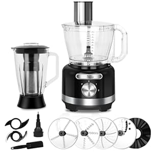 Davivy 16-Cup Food Processor Blender Combo,10-in-1 Multifunction 3.8L Food Chopper 1.5L Glass Blender & Filter,600W with 2 Speeds Plus Pulse Vegetables Chopper for Home Use,Black