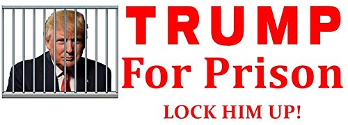 Lock him up, Trump, prison Vinyl Decal Bumper Wall Laptop Window Sticker 5
