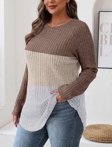 Image of Saloogoe Long Sleeve Shirts for Women 2025 Fall Clothes Tunic Tops Loose Fit Dressy Crewneck Pullover Sweaters Curved Hem
