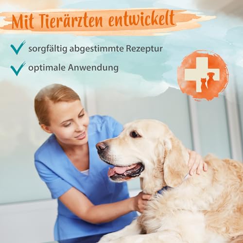 Ida Plus Diar-Stopp Tabs - Kautabletten gegen Hunde-Durchfall - Durchfallmittel - Hund-Darmflora aufbauen mit Probiotika - Darmsanierung - Stoppt Durchfall - 120 Tabletten