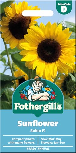 Fothergill's Sunflower Seeds 'Soleo F1'