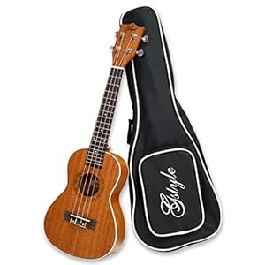 24” ukelele Instrument Kit Concert Ukulele