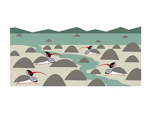 Image of Bird Business