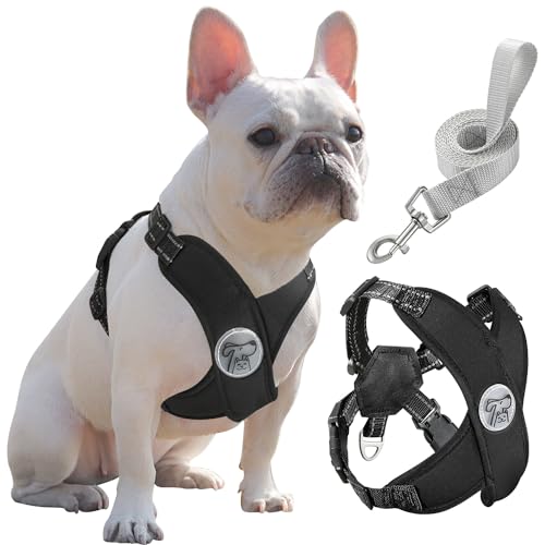 Pawaboo Hundegeschirr mit Hundeleine Set, X-Rahmen Verstellbares Anti Zug Anti-Erstickung Hund Brustgeschirr für Kleine, Mittelgroße Hunde & Welpen, Atmungsaktive Hundeweste mit Leine (L, Schwarz)