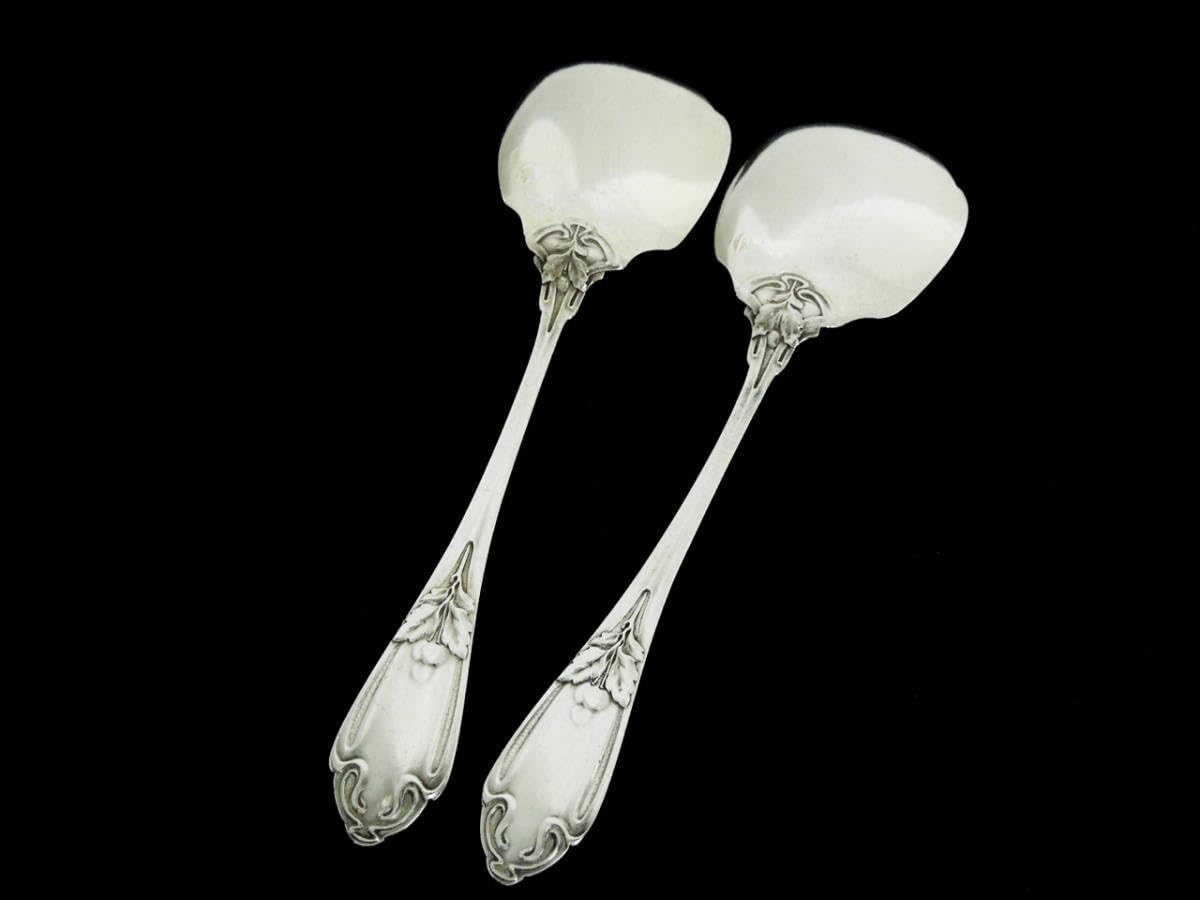 Amazon | フランス シルバーアイスクリームスプーン2本セット